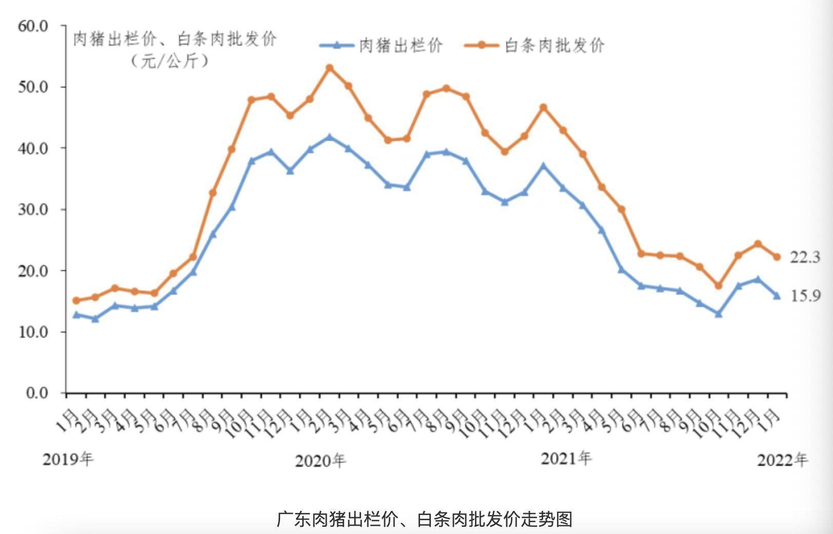 广东猪肉最新价格动态，今日价一览