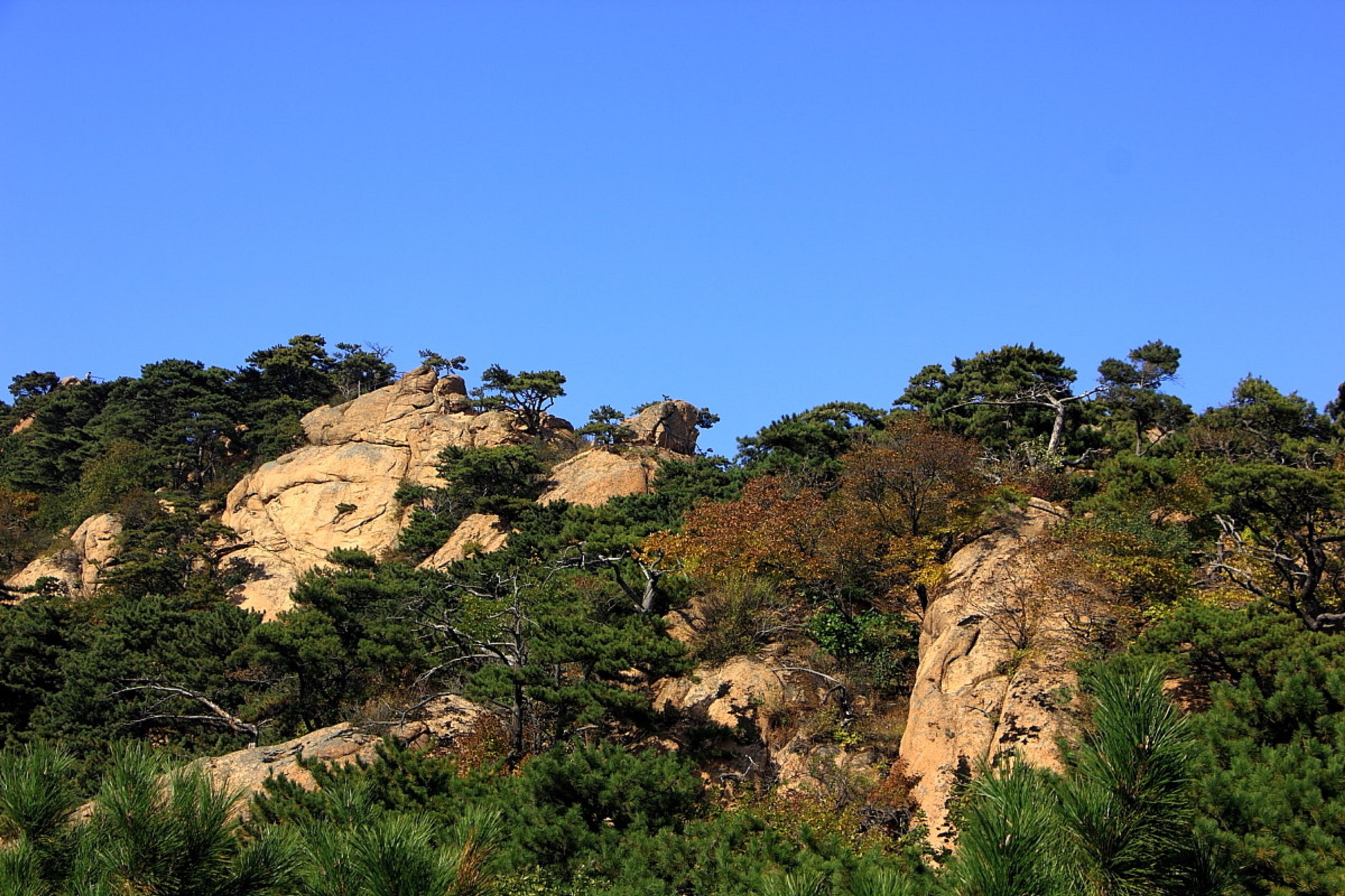 探寻千山风景区之起源，追溯历史足迹，揭秘最早足迹