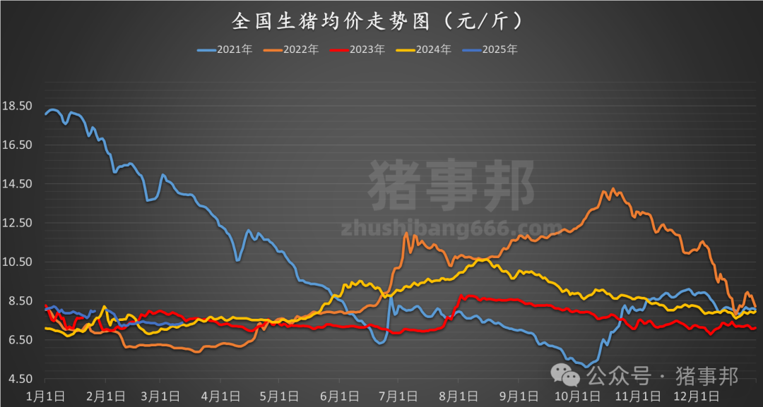 今日猪价最早行情价格